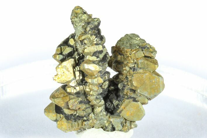 Glistening Marcasite Crystal Stalactite - Linwood Mine, Iowa #372114